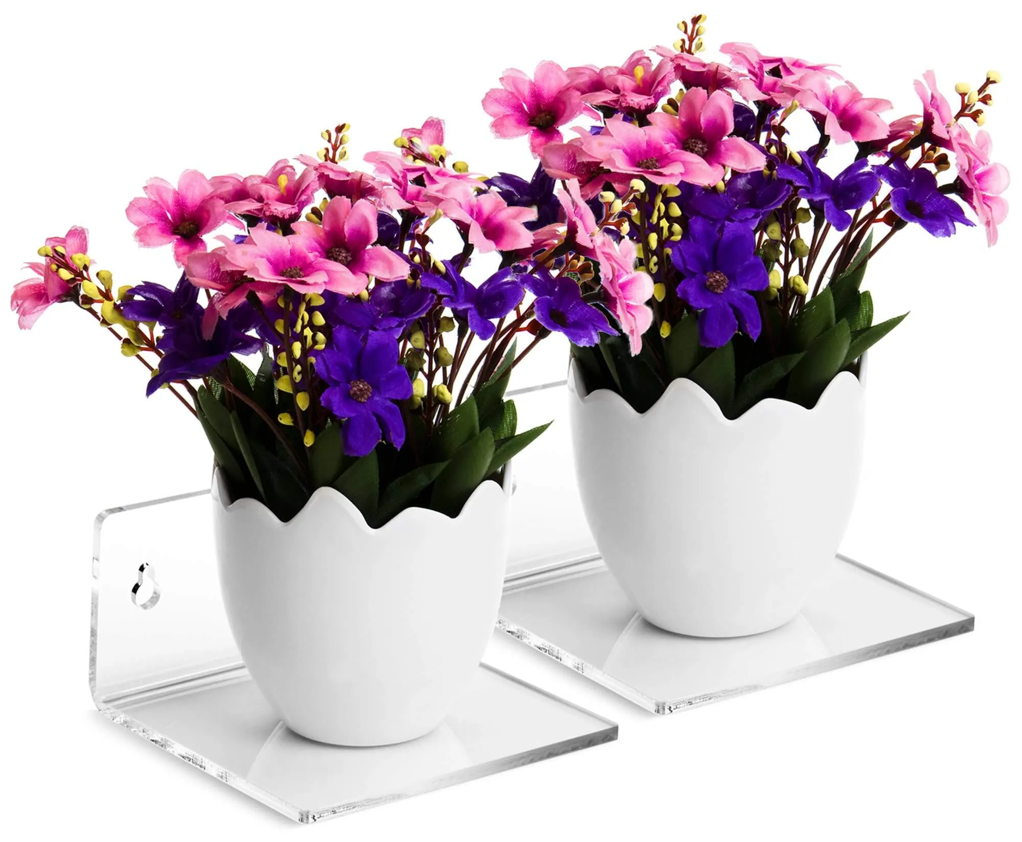 Acrylic Wall Mounted Floating Shelf – Better Display Cases