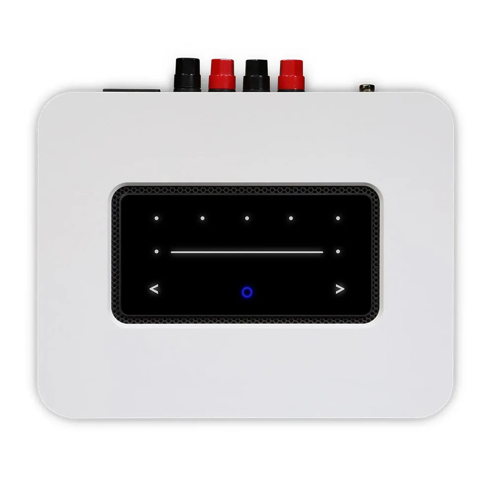Bluesound POWERNODE
