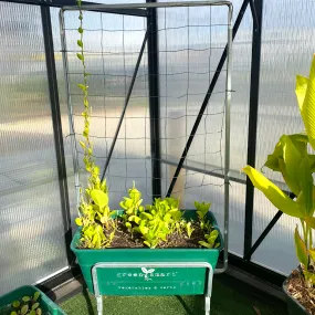 Climber Stand