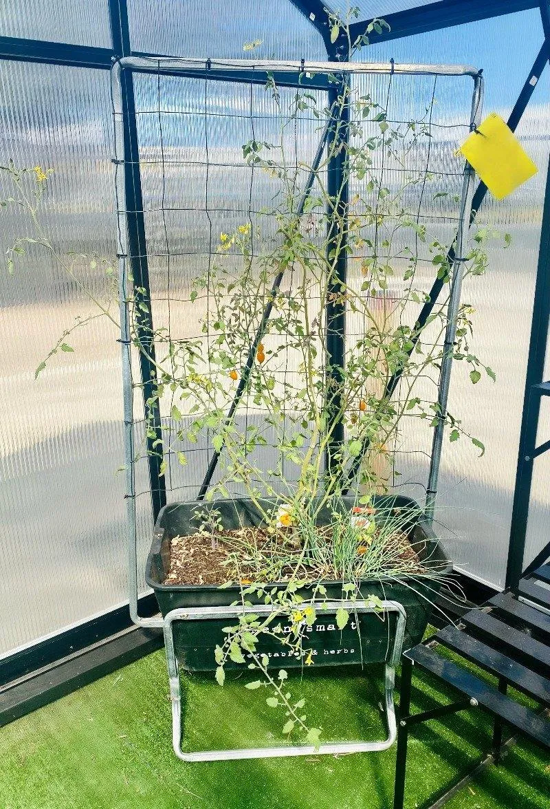 Climber Stand
