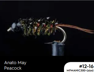 Manic Anato May Peacock