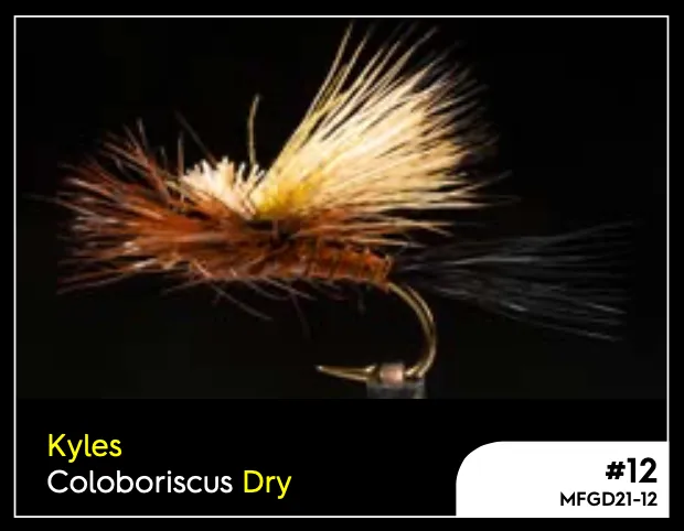 Manic Kyles Coloboriscus Dry - #12
