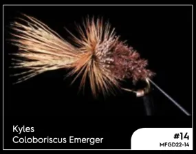 Manic Kyles Coloboriscus Emerger - #14