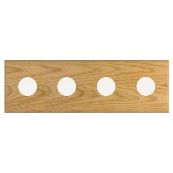 Maximum 4-Instrument In-Line Panel