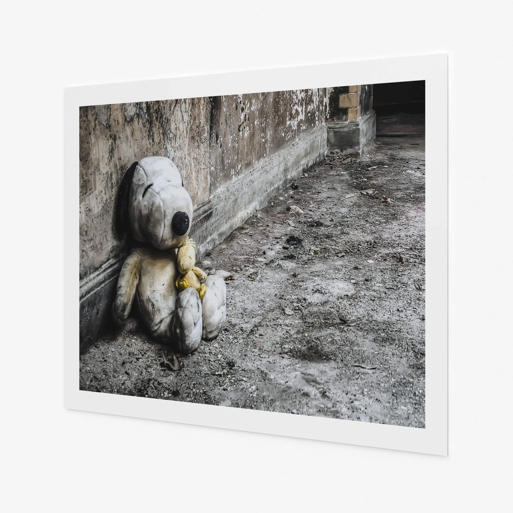 Snoopy and Woodstock | Seika Dormitory