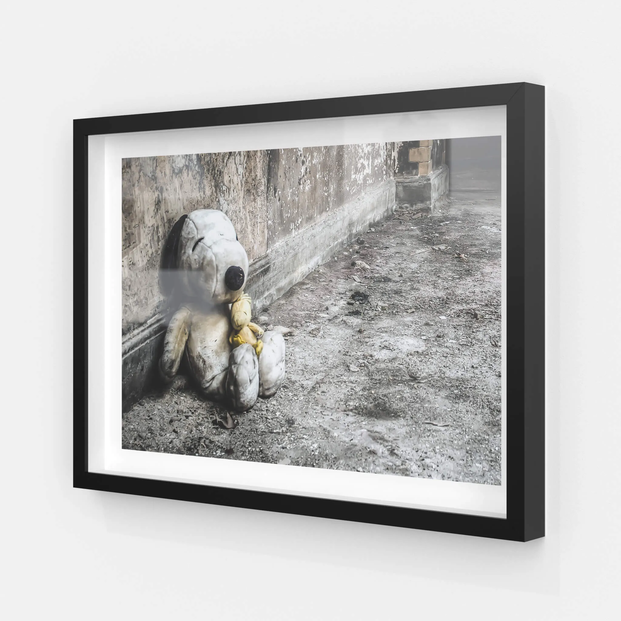 Snoopy and Woodstock | Seika Dormitory