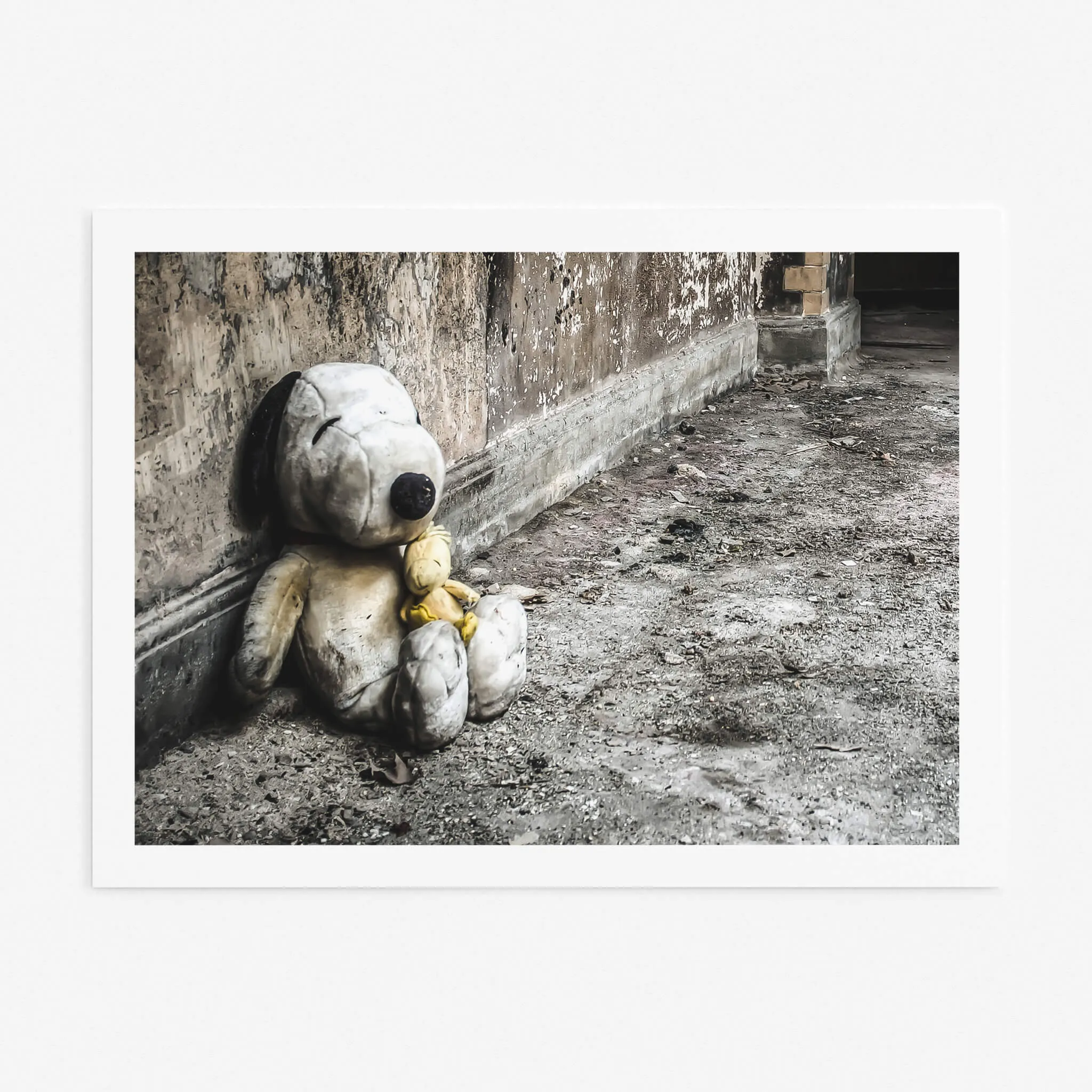 Snoopy and Woodstock | Seika Dormitory