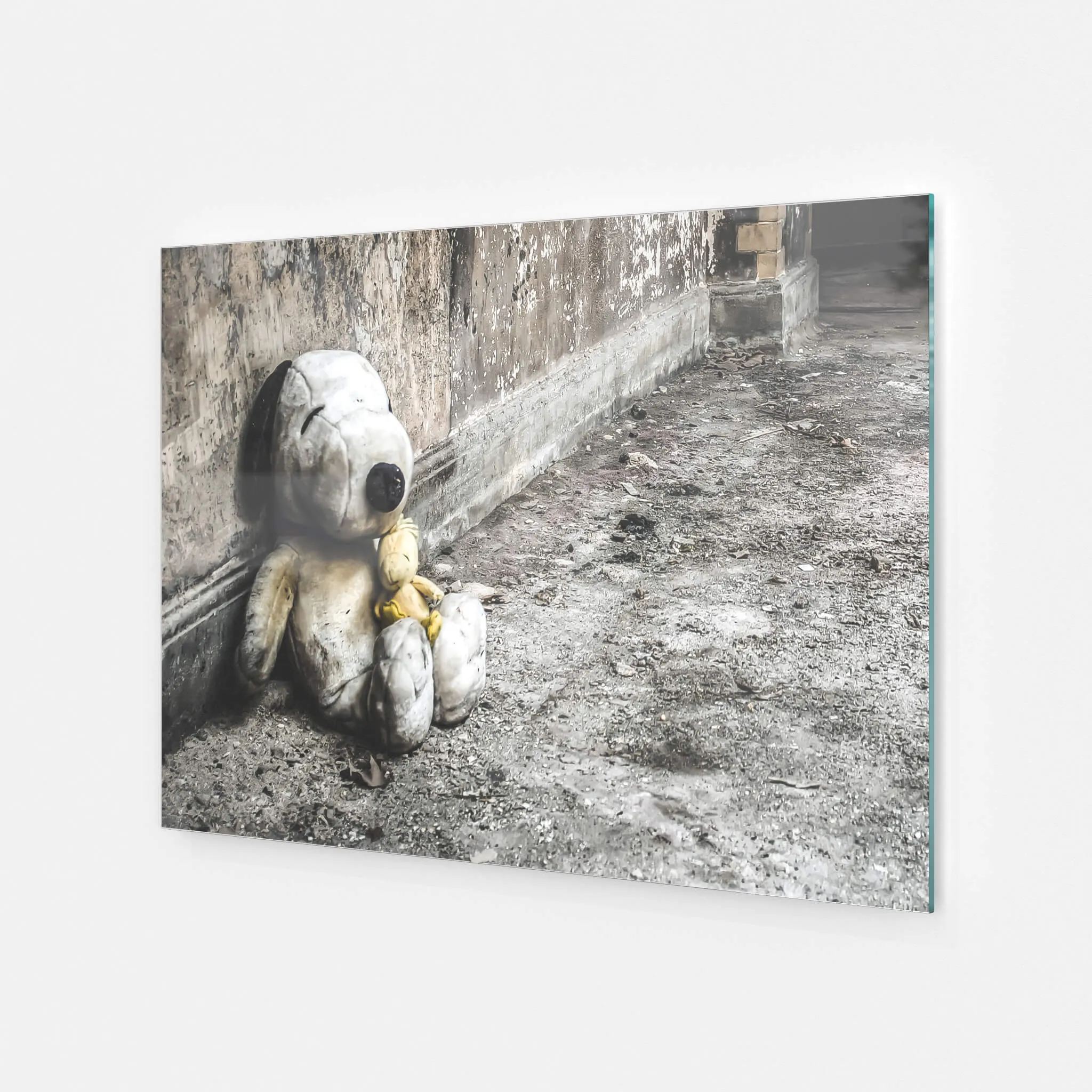 Snoopy and Woodstock | Seika Dormitory