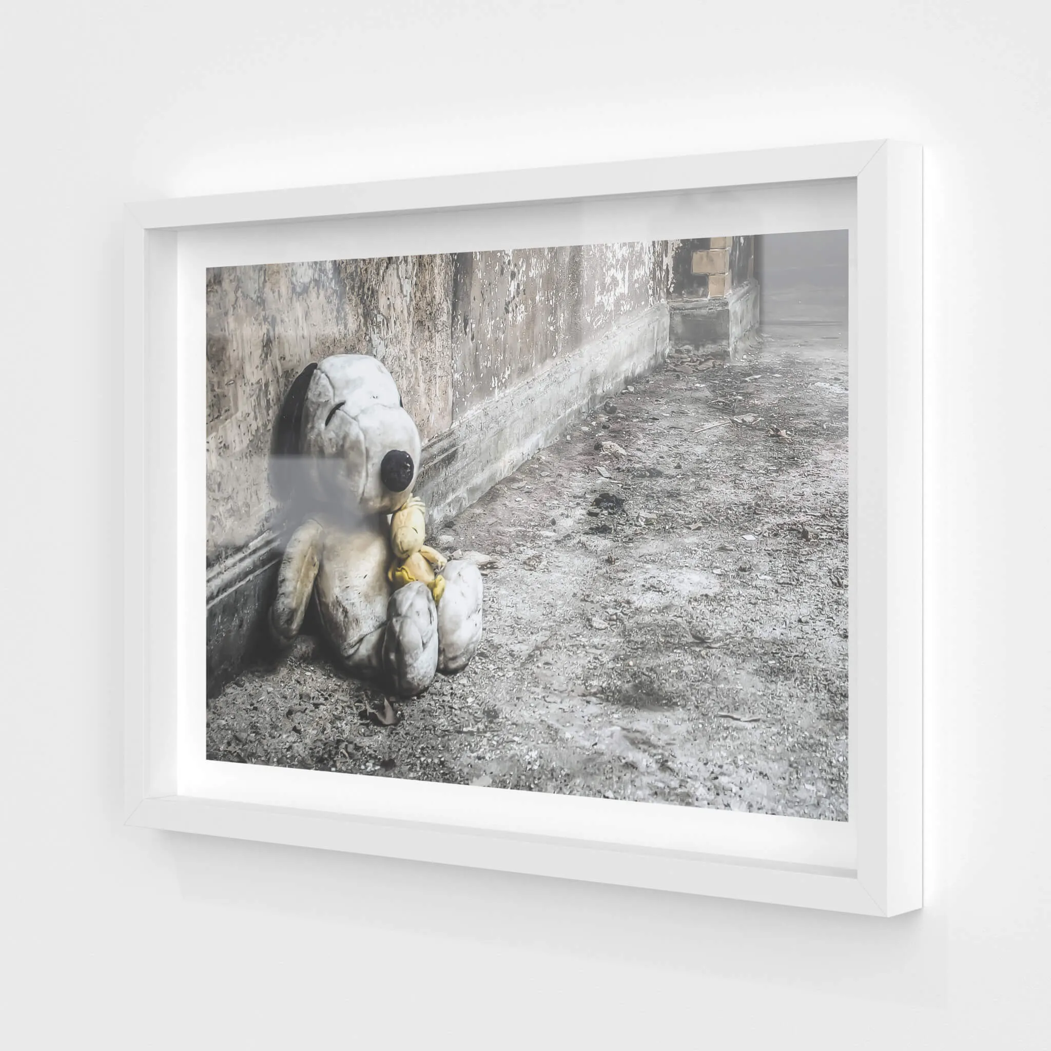 Snoopy and Woodstock | Seika Dormitory
