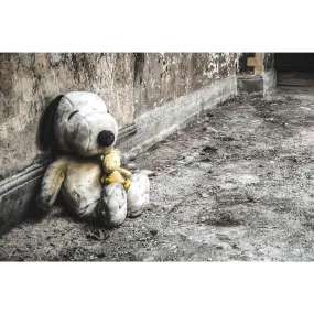 Snoopy and Woodstock | Seika Dormitory