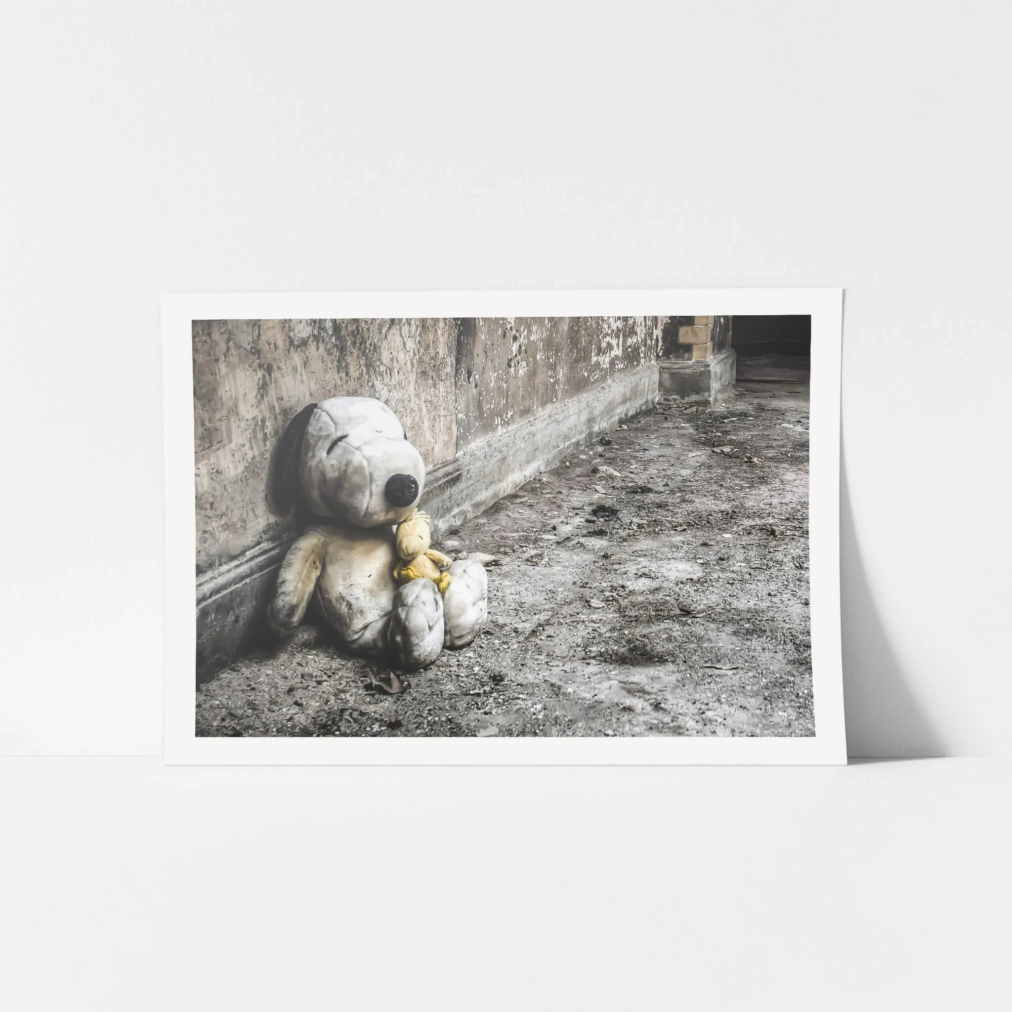 Snoopy and Woodstock | Seika Dormitory